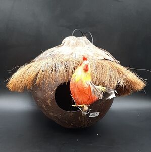 Vintage Natural Outdoor Coconut Hanging Bird House Handmade Tiki Like New